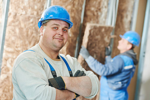 Best Wall Insulation Contractor  in Aberdeen, MD